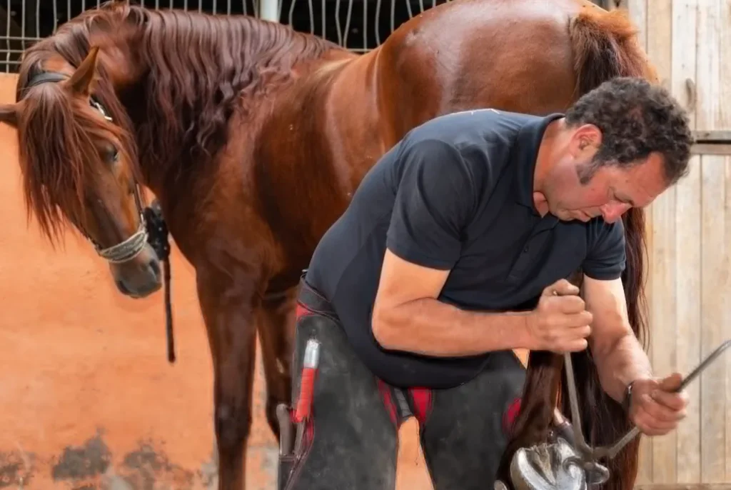 Enhancing Stable Hygiene for Healthier Horses