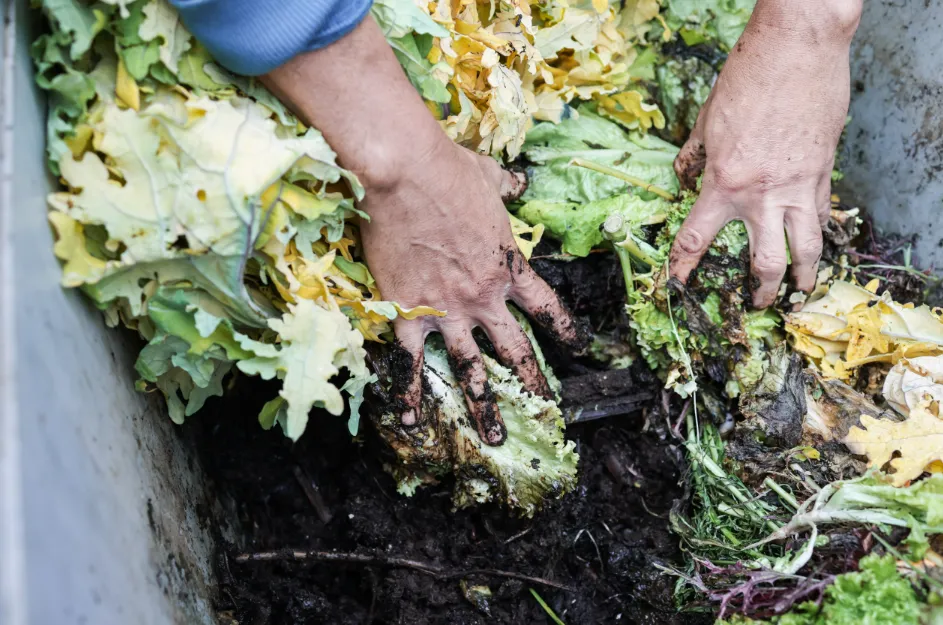 5 Key Reasons to Use Organic Compost in Your Garden