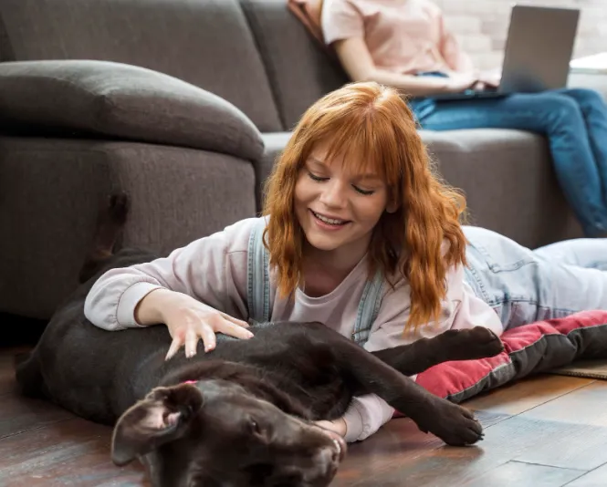 Pet Therapy Buildings When Emotional Support Animals Become a Community Feature