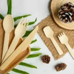 AnzhuCraft Leading the Way in Sustainable Disposable Tableware