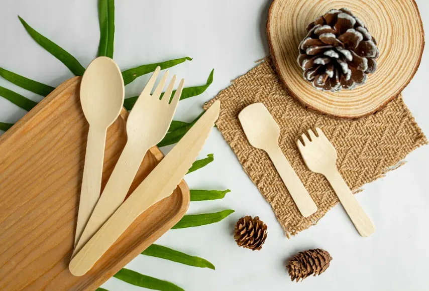AnzhuCraft Leading the Way in Sustainable Disposable Tableware