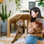 The Rise of Pet-Friendly Homes and Smarter Pet Spending Habits