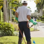 What Is Lawn Pest Control A Complete Guide for El Paso County Homeowners