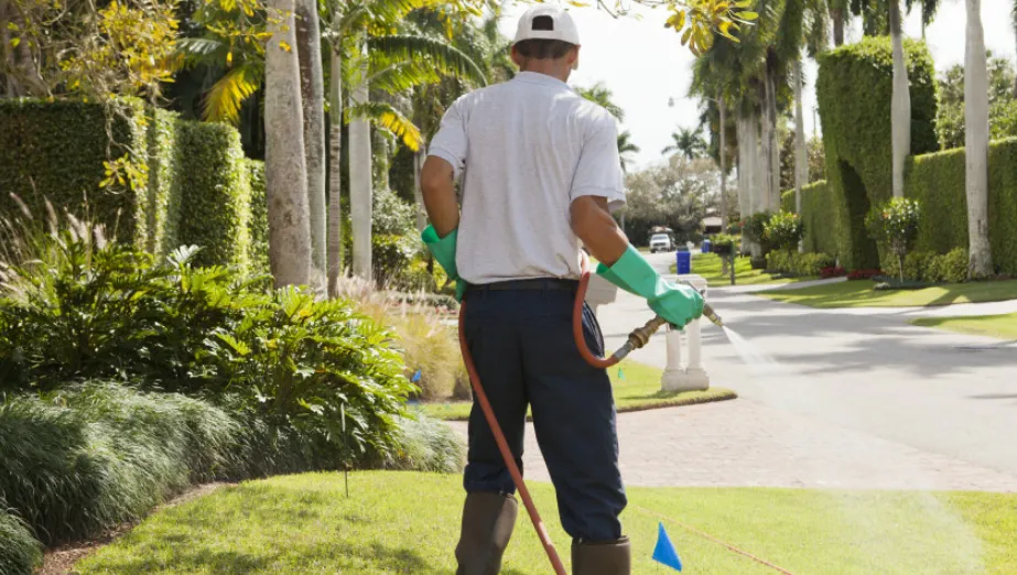What Is Lawn Pest Control A Complete Guide for El Paso County Homeowners