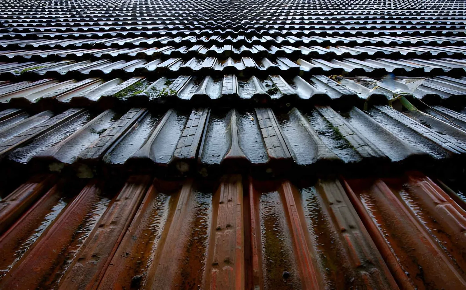 Five Days To Decide What A Vague Roof Note Means