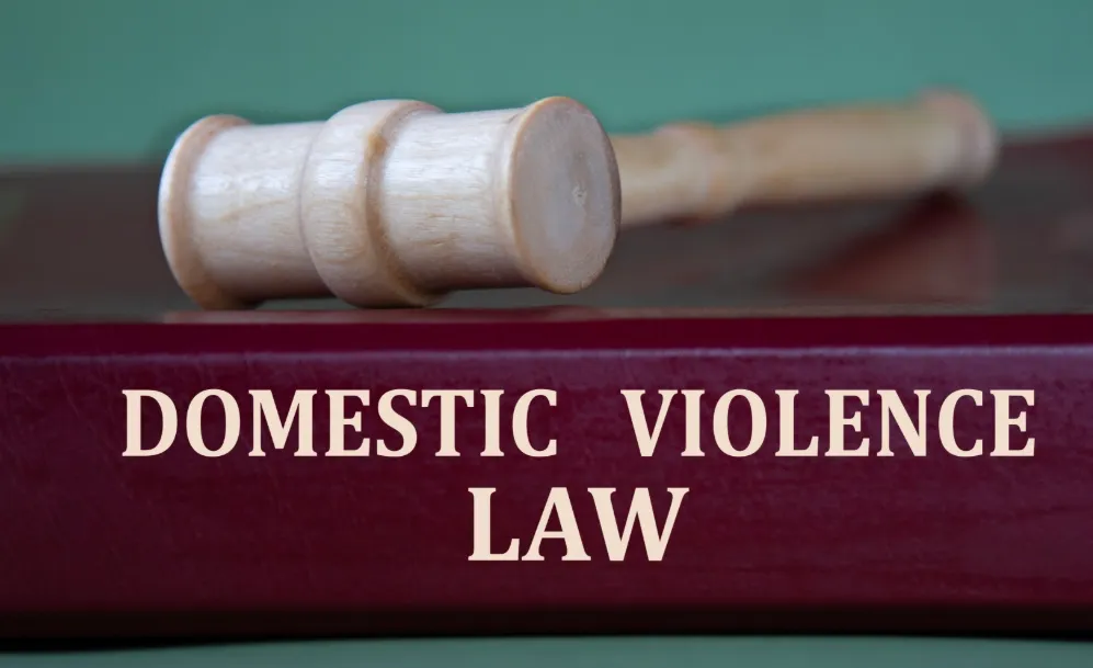 Understanding The Legal Protections For Domestic Violence Survivors