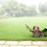 How to Prepare Your Lawn for Changing Weather